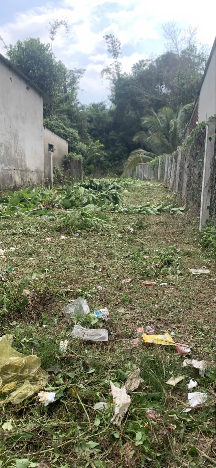 Đất Mặt Tiền Nhựa Xã Quảng Ngãi, Đạ Huoai - 428m² Thổ Cư, Giá Tốt