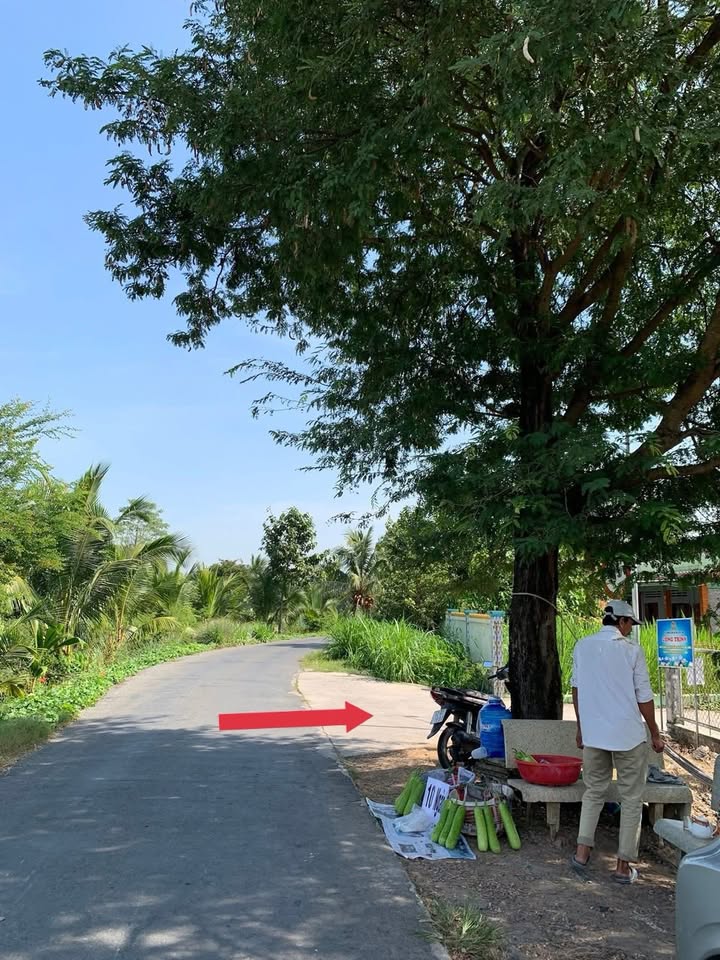 Bán Nền Thổ Cư 135m² Châu Thành Long An - Giá 360 Triệu