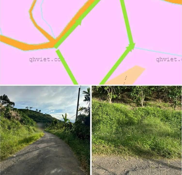 Đất Nền Bảo Lộc 6200m² - Sổ Hồng Sẵn Sàng, View Đồi Bát Úp