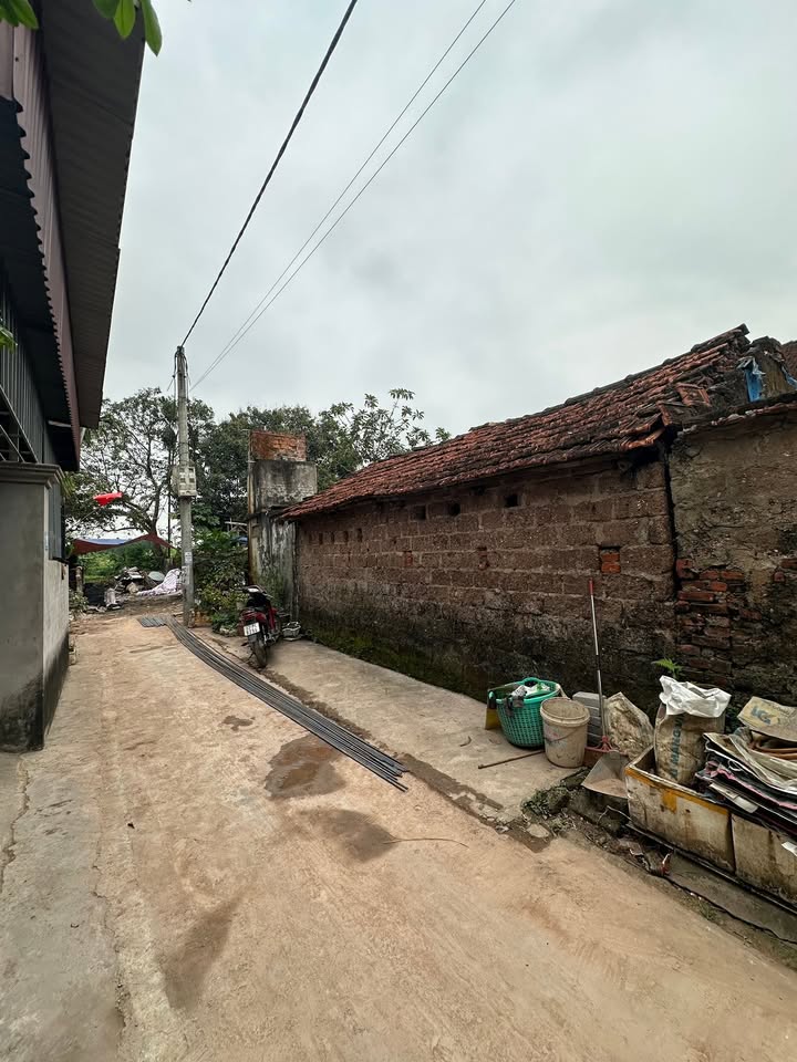 Đất nền Phù Lưu Tế Mỹ Đức 100m² - Tiềm năng tăng giá vượt trội!