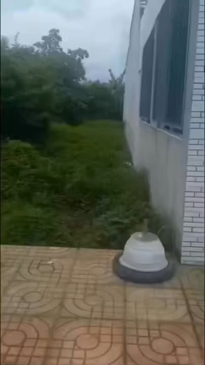 Đất nền Gò Công, Cao Lãnh 243m² - Sổ đỏ chính chủ, sang tên ngay!