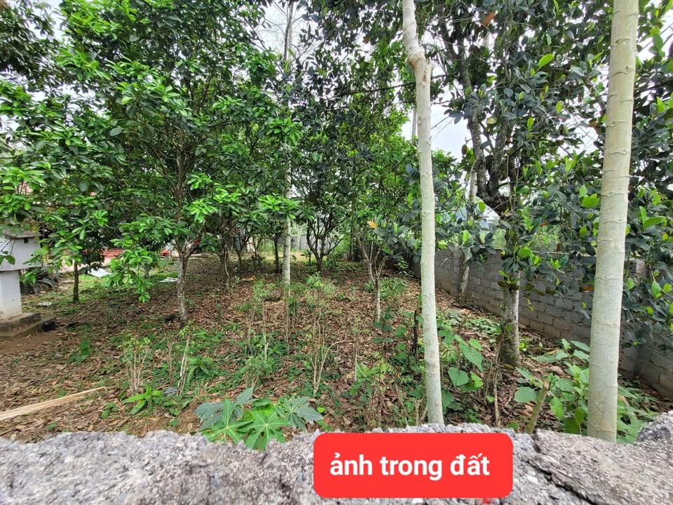 Đất nền Lương Sơn, Hòa Bình 88.1m² Sổ đỏ chính chủ - Giá tốt!