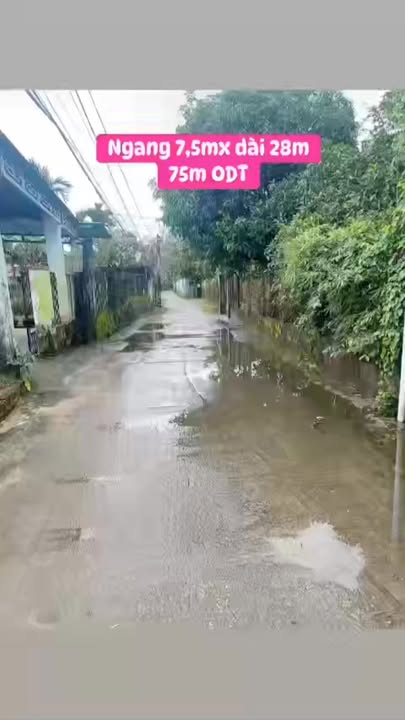 Đất nền Hoàng Mai 210m² - Đất thổ cư 100%!