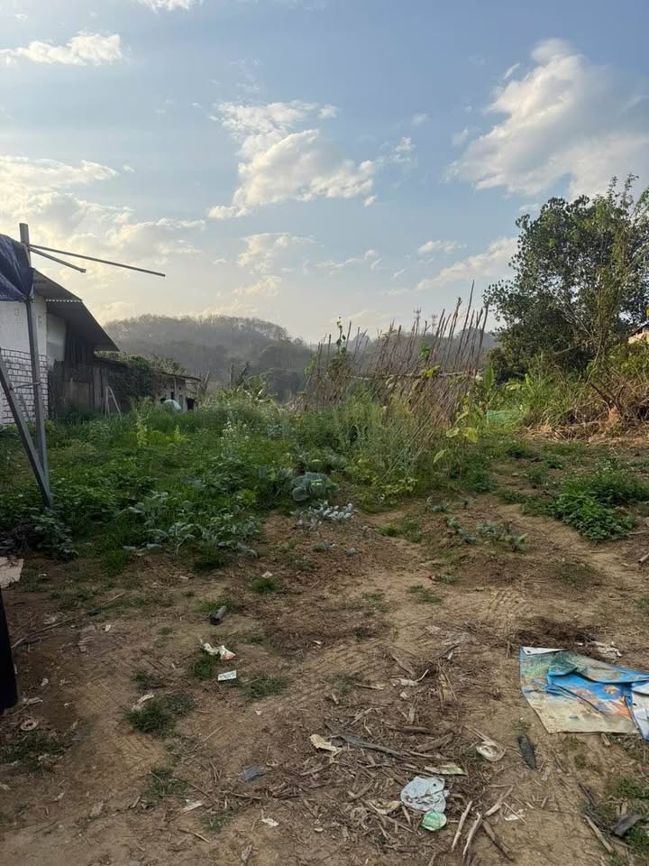 Đất nền Phường Lào Cai 100m² - Sổ đỏ chính chủ, giá cực tốt!