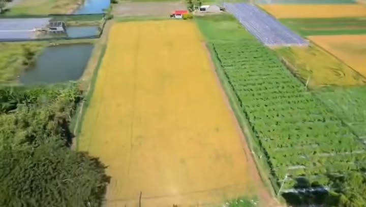 Đất nền Trà Vinh 1440m² (24x60m) - Sổ đỏ thổ cư, giá 4.7 tỷ