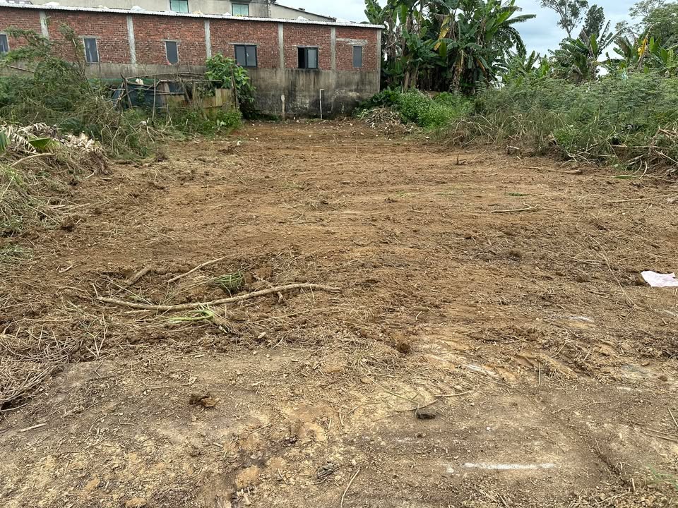 Bán Nhanh Đất Nền Quế Xuân 1 - Duy Xuyên: 100m², Sổ Đỏ, Giá 320 Triệu