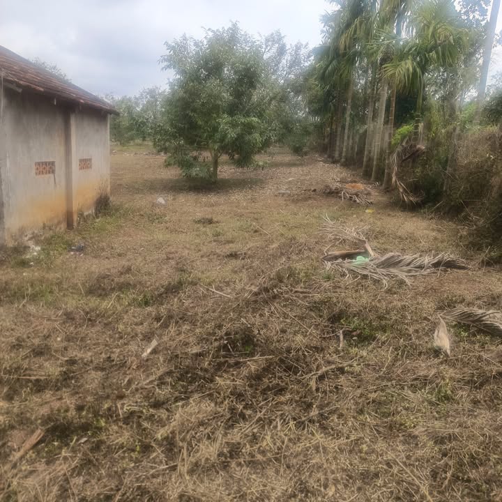 Đất nền Đạt Hiếu, Đắk Lắk - 217m² Full Thổ Cư, Giá Tốt Đầu Tư