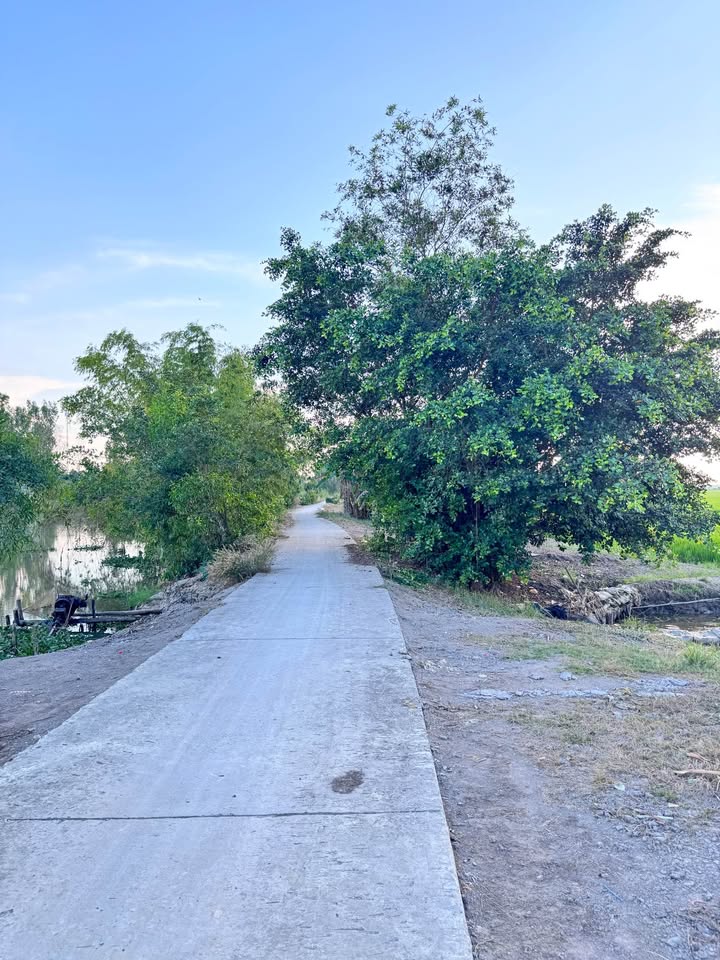 Đất Vườn Nam Thái Sơn, Hòn Đất 110.000m² - Đầu tư dài hạn, sinh lời bền vững!