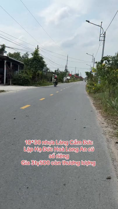 Lô Đất Đường Nhựa Láng Cẩm Đức Hòa 300m² - Đất thổ cư 100%!