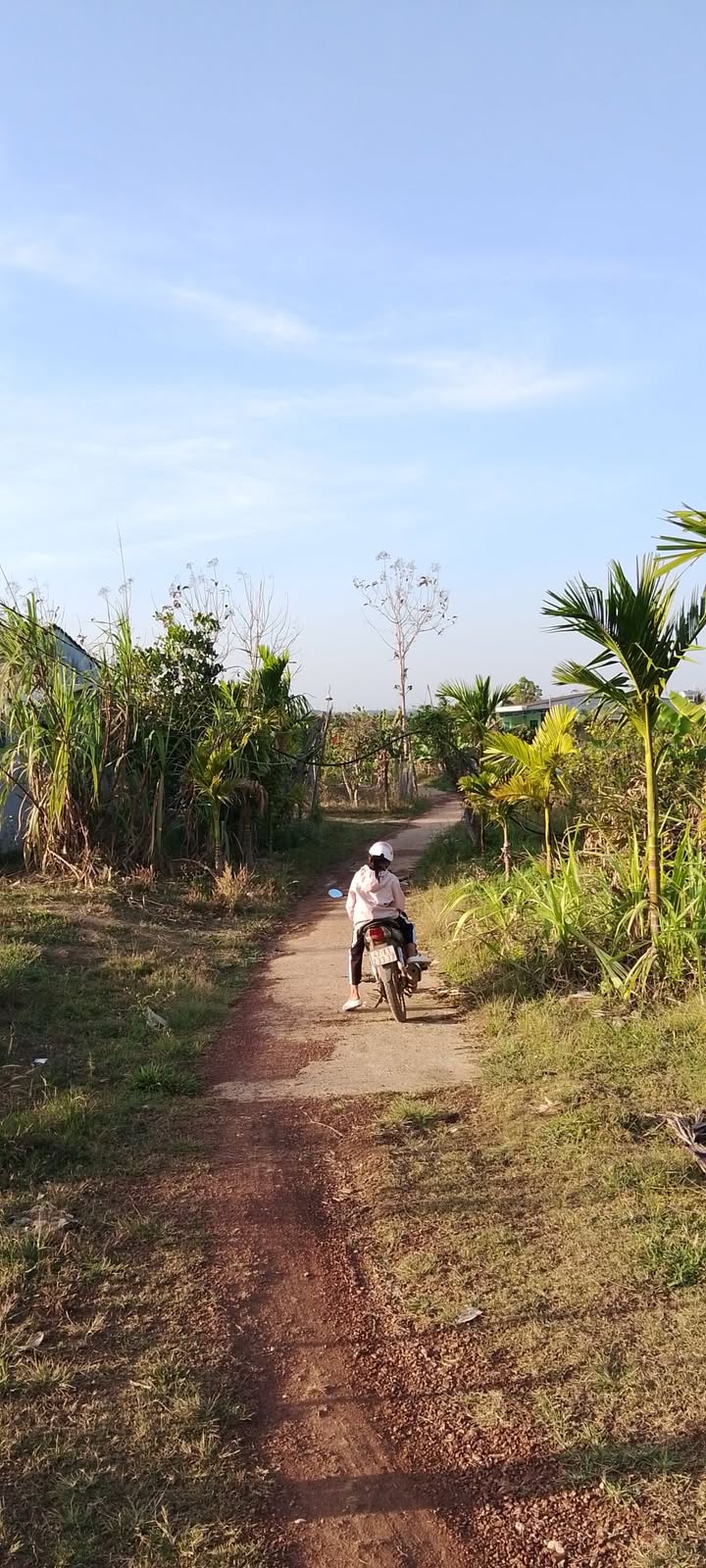 Đất Nền 423m² Thổ Cư Thị Trấn Đắk Mâm, Krông Nô - Giá Đầu Tư 400 Triệu