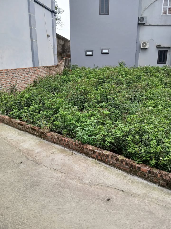 Đất nền Văn Võ Chương Mỹ 72m² - Đường to ô tô vào tận đất!