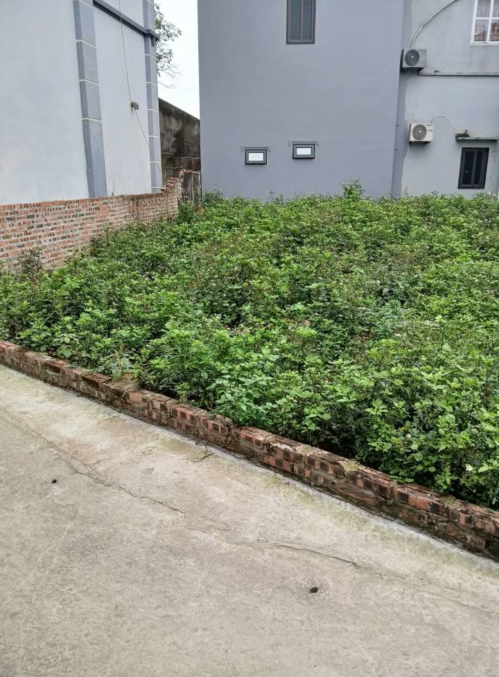 Đất nền Thanh Mỹ, Sơn Tây 72m² - Ô tô ngủ trong đất, giá 4.2 tỷ