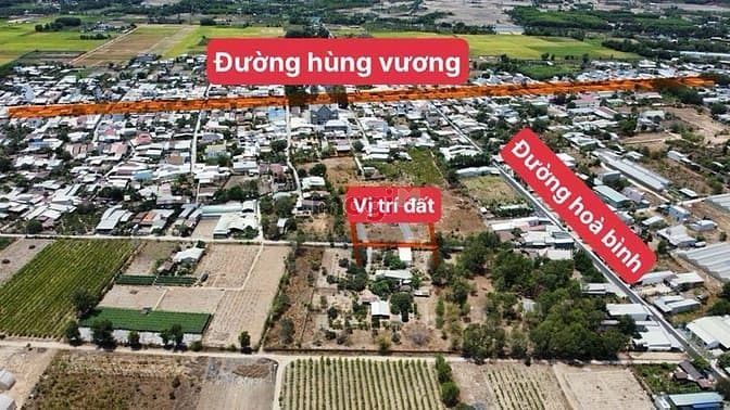 Đất Nền Nhơn Trạch 3849m² - Mặt Tiền 47m Đường 8m, Sổ Hồng Riêng