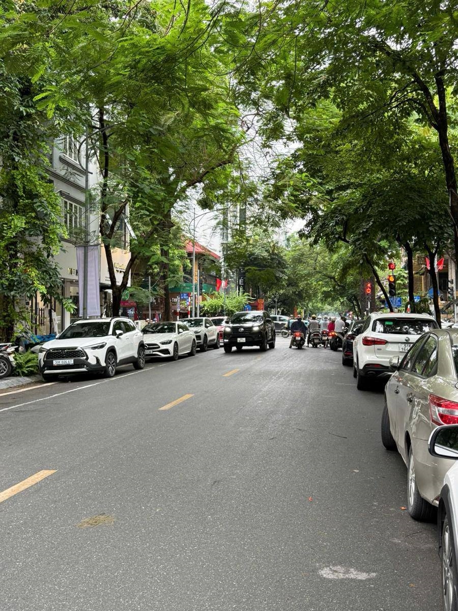 Nhà Tô Hiến Thành 50m² giá 16.8 tỷ - Ô tô vào tận nhà, kinh doanh đỉnh!