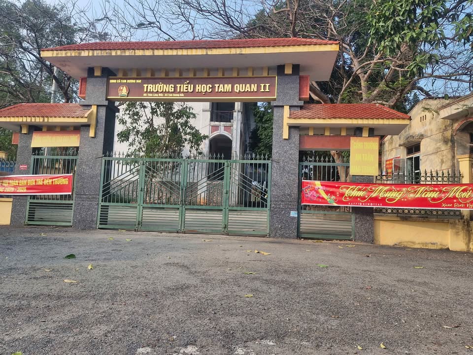 Đất Làng Mẫu Tam Đảo 123m² - Hơn 1 Tỷ, Sổ Đỏ Sẵn Sàng