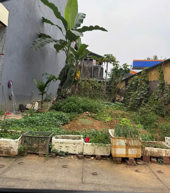 Đất Nền Cam Đường Lào Cai 100m² - Đầu Tư Sinh Lời Hấp Dẫn