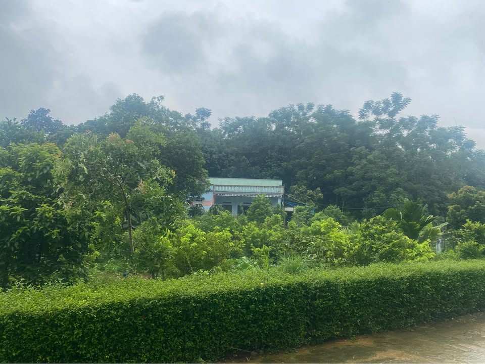 Đất Trang Trại Gia Phú, Bảo Thắng 2.5 Tỷ - Sổ Đỏ Chính Chủ