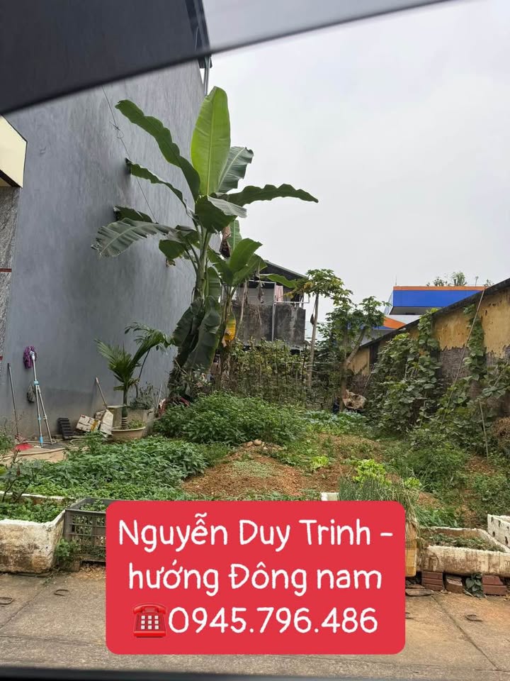 Đất Vàng 100m² Nguyễn Duy Trinh, Lào Cai - Sổ Đỏ Sẵn Sàng