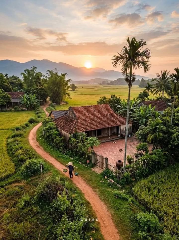 Đất Nền Bình Điền, 2500m² (1800m² Thổ Cư) - Sẵn Sàng Xây Dựng