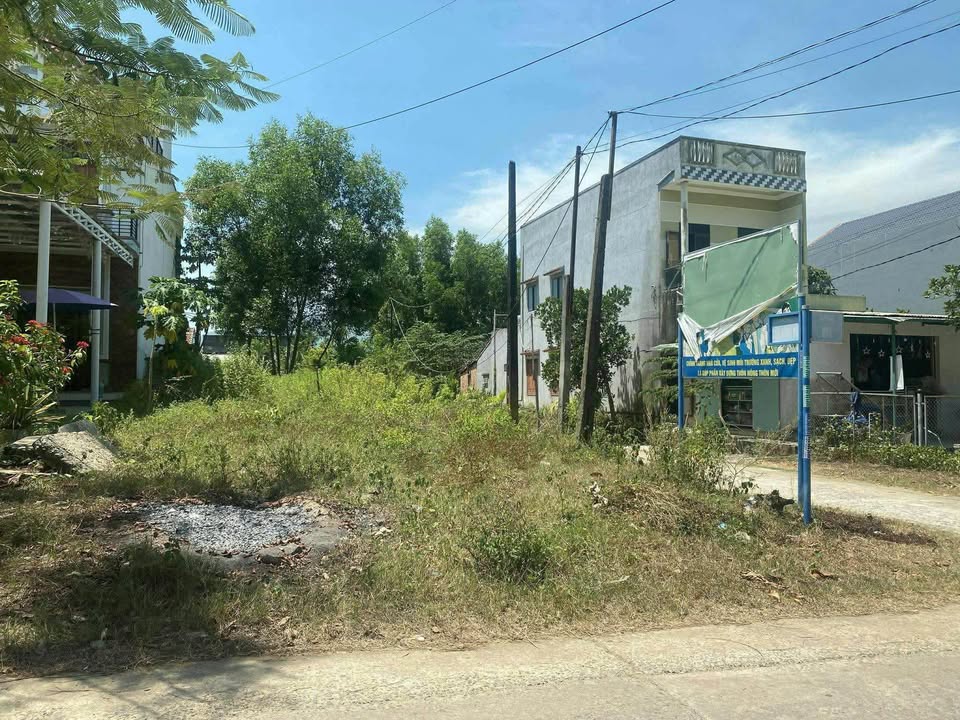 Đất nền DH5 Tam Mỹ Đông 200m² 800 triệu - Đường ô tô