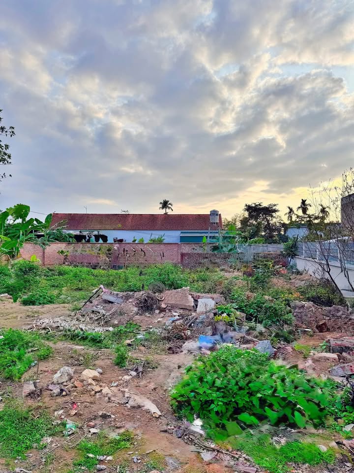 Đất nền Móng Cái 100m² đường 8m - Tiềm năng tăng giá vượt trội!