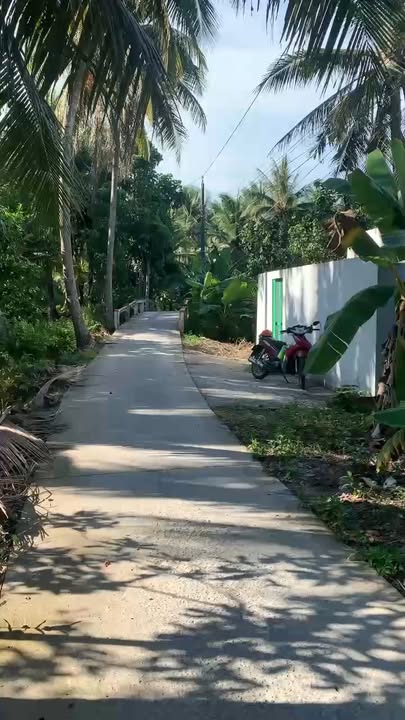 Đất Xã Đạo Thạnh, Mỹ Tho 312m² có nhà yến - Tiềm năng tăng giá!