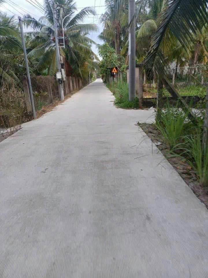 Đất Nền Phú Nhuận Bến Tre 101m² - Sổ Sẵn, Hạ Tầng Hoàn Thiện