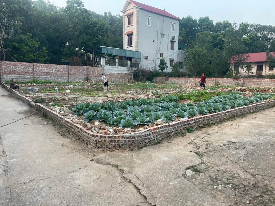 Đất nền Phật Tích 72m² - Tiềm năng tăng giá vượt trội!