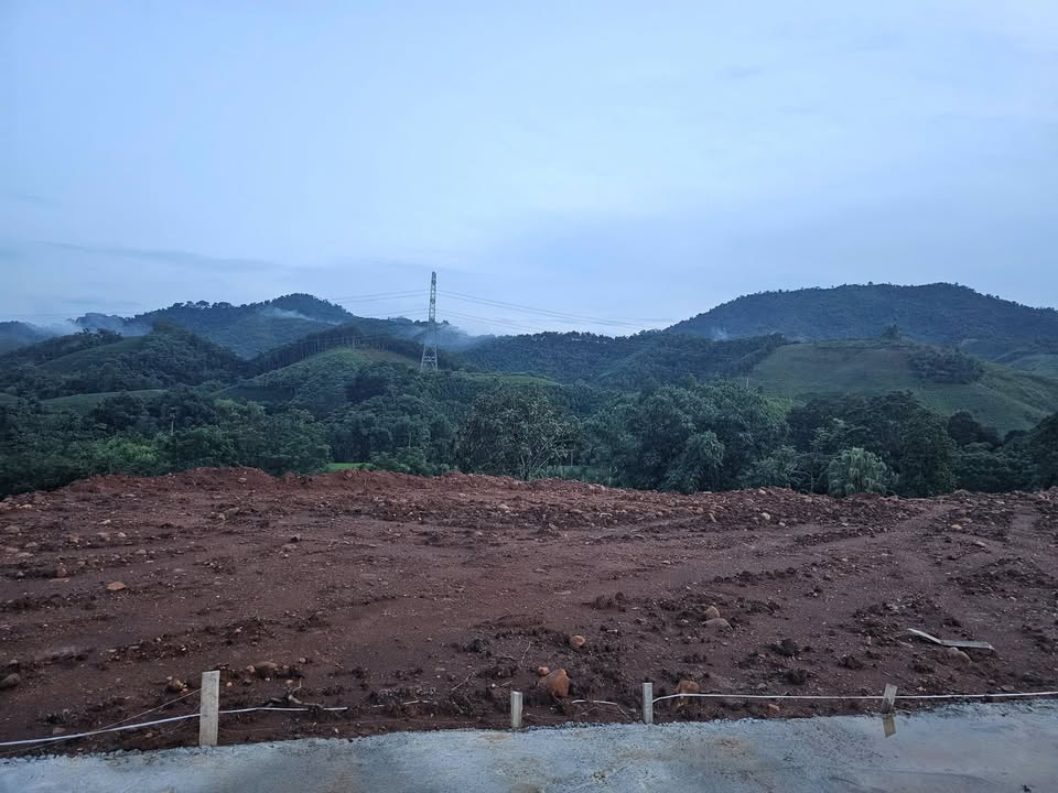 Đất nền Tân Phú, Phú Thọ 117m² - Sổ ODT, Sẵn Sàng Xây Nhà Vườn