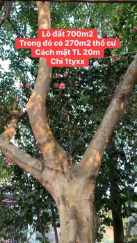 Đất nền Bảo Thắng, Lào Cai 700m² sổ đỏ - Vị trí đắc địa, giá chỉ 1.x tỷ