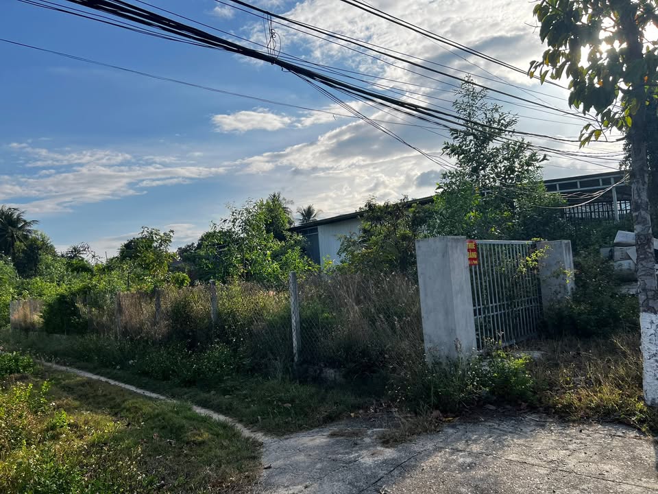 Cho thuê đất 345m² mặt tiền Nguyễn Du, Cam Ranh - Kinh doanh đa ngành nghề