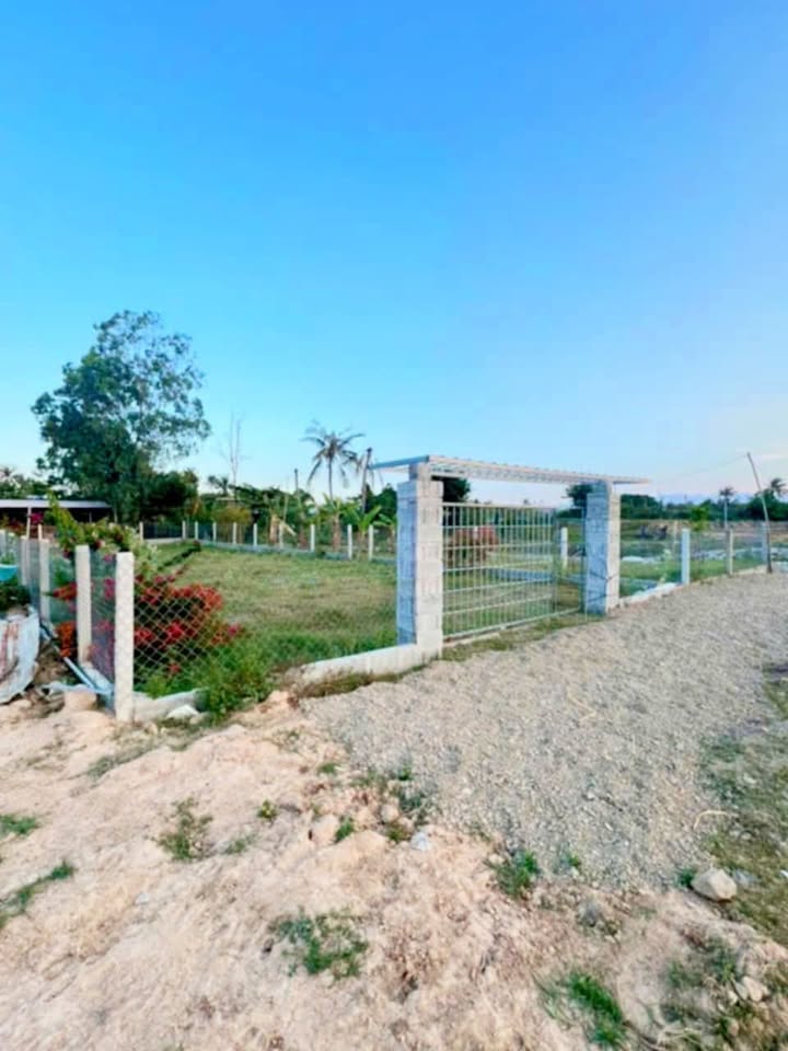 Đất Nền Cam Phúc Nam Cam Ranh 500m² - Sổ Hồng Sẵn Sàng Đầu Tư