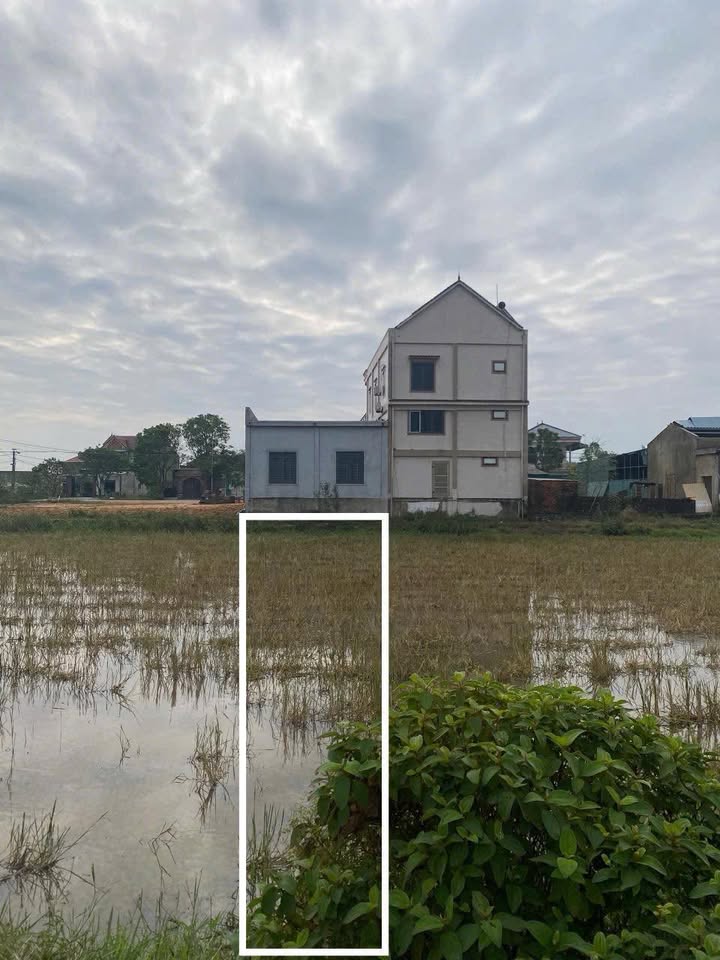 Đất Nền Can Lộc, Hà Tĩnh - 272m² - Lối 2 TL6, Đường 8m