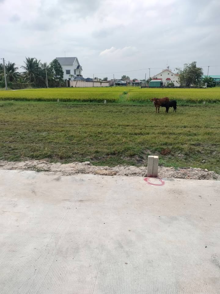 Đất Nền Đức Hòa Long An - 120m² Sổ Hồng Giá 950 Triệu/Nền