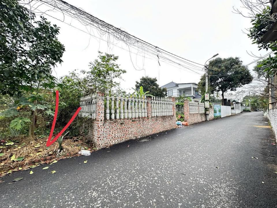 Đất Vĩnh Phúc 100m² - 7 Tỷ Đường Duy Phiên, Phúc Yên - Kinh Doanh Tốt