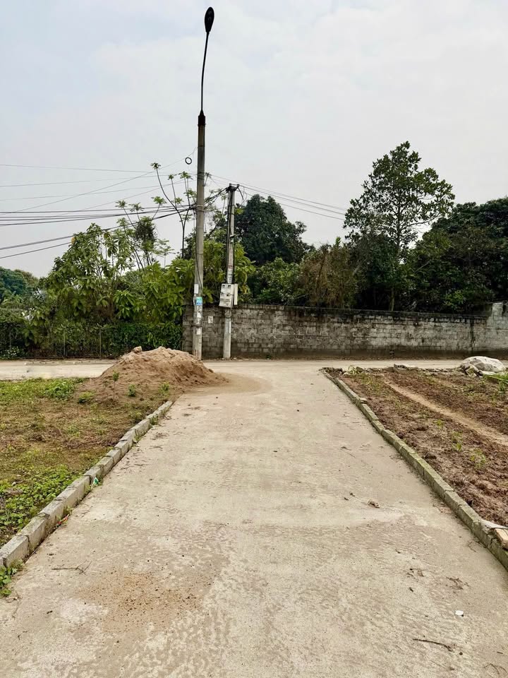 Đất nền Phù Cừ 62m² - Đường ô tô, Sổ đỏ sẵn, Giá 9xx Triệu