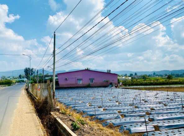 Đất Nền Mặt Tiền Nhựa Đức Trọng 400m² - Sổ Đỏ TC, Giá 4.5 Tỷ