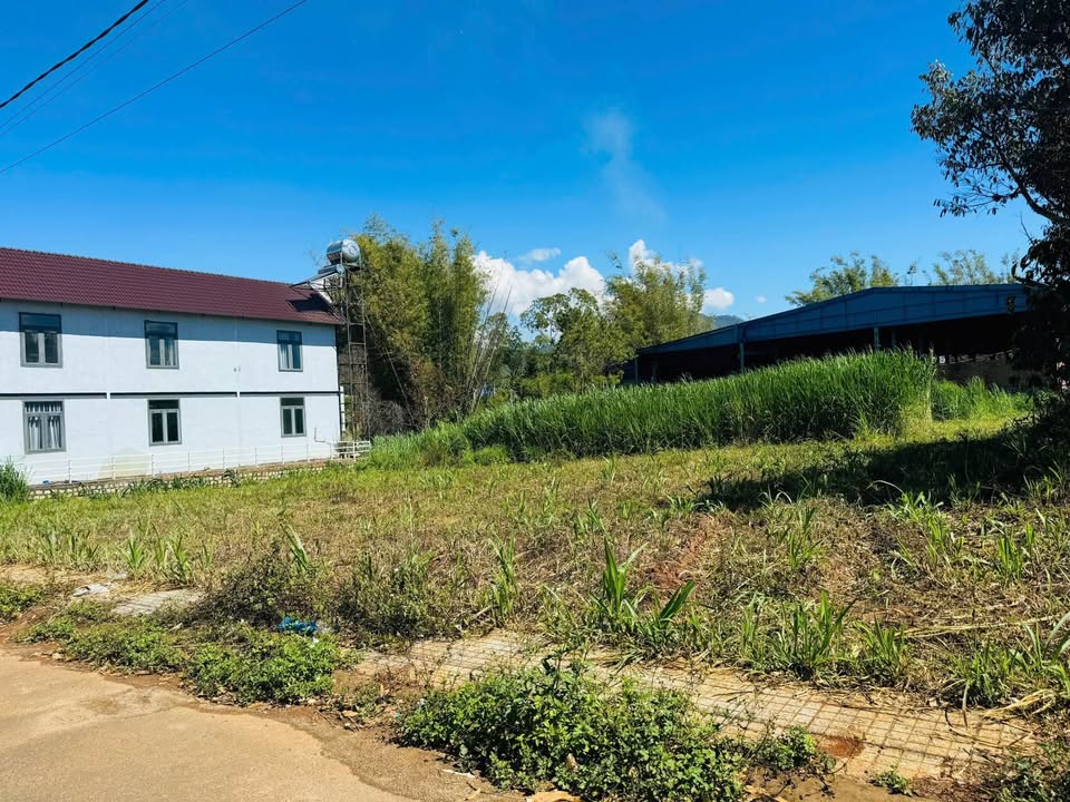 Đất nền Bồng Lai Riverside Đức Trọng 1.55 tỷ/nền - Tiềm năng tăng giá!