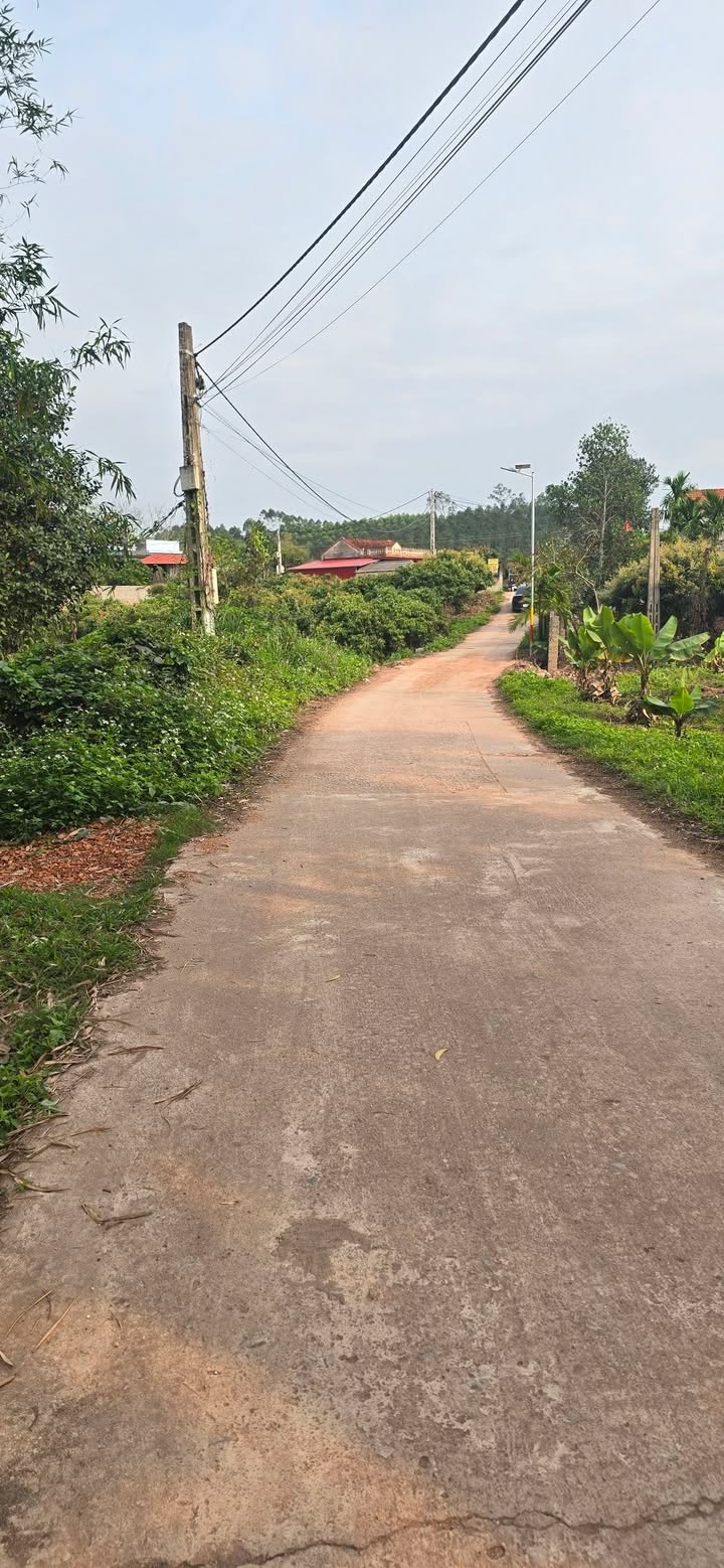 Bán Gấp Đất Vườn Yên Thế, Bắc Giang 12000m² - Sẵn Sàng Đầu Tư