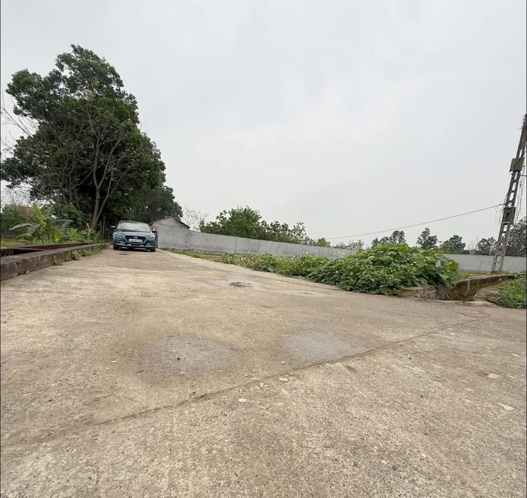 Đất nền Bắc Lý, Hiệp Hòa, Bắc Giang - 116m² - Sổ đỏ sẵn sàng