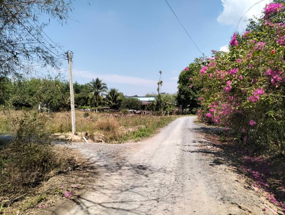 Đất Nền 2 Mặt Tiền 2000m² Ấp Bến Chò, Tây Ninh - Sổ Đỏ Sẵn Sàng