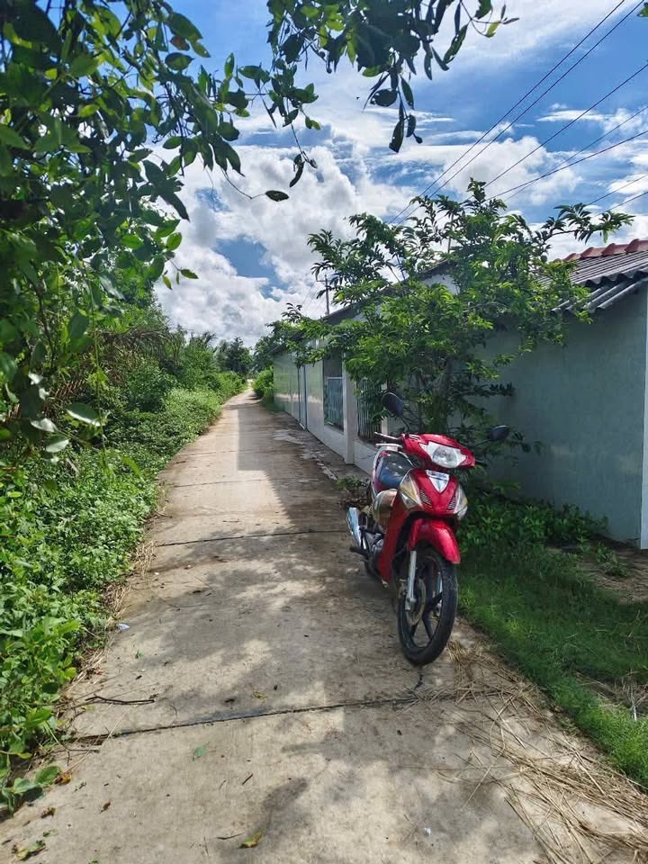 Đất Vườn Sóc Trăng 23.000m² - Mặt Tiền Đường Lớn, Có Kho Xây Dựng