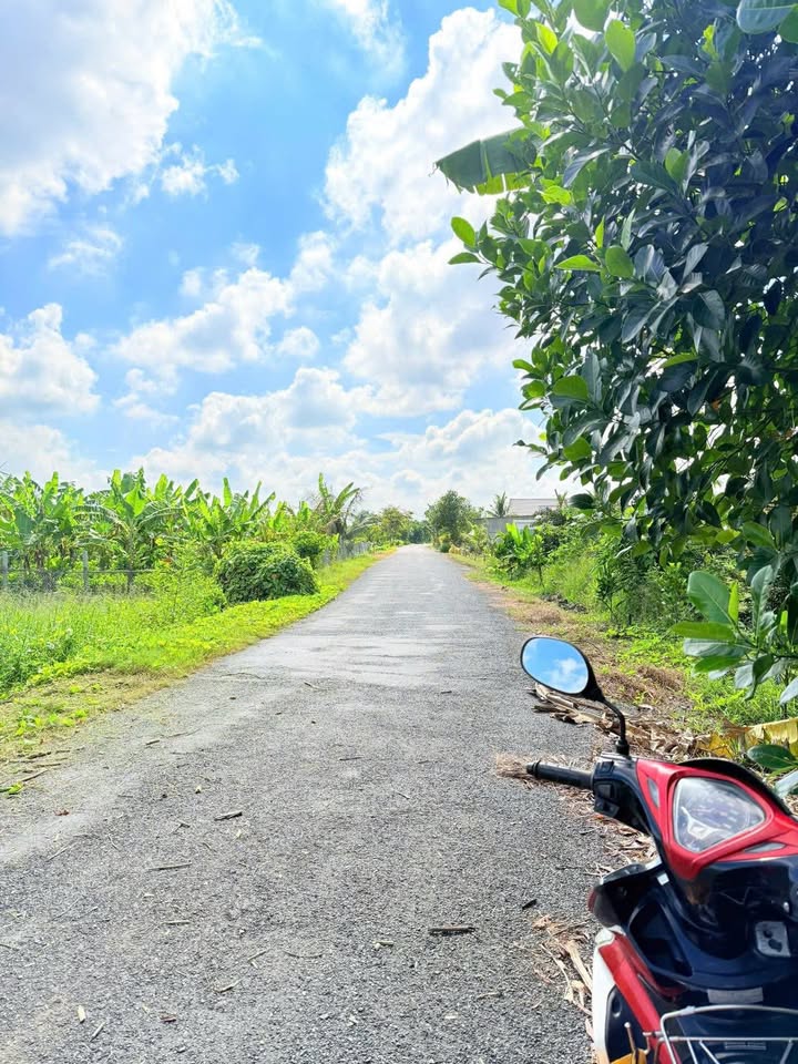 Đất Vàm Bi - Trường Hoà 421m² Sổ Hồng Sẵn Sàng - Giá 799 Triệu