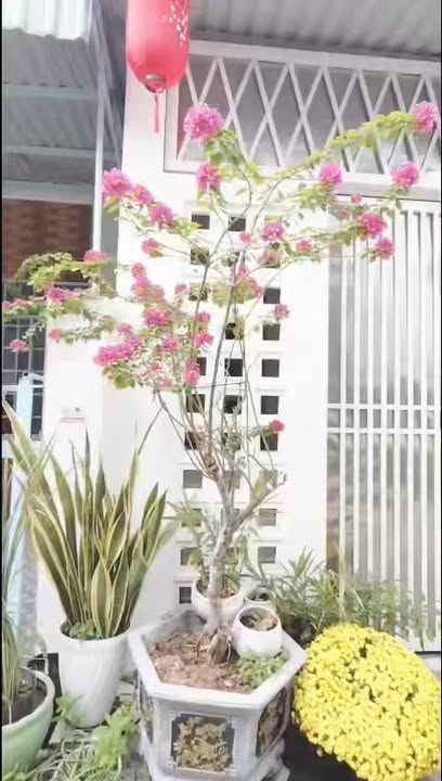 Nhà riêng Nguyễn Văn Linh 70m² giá 2.45 tỷ - Sẵn sàng ở ngay!