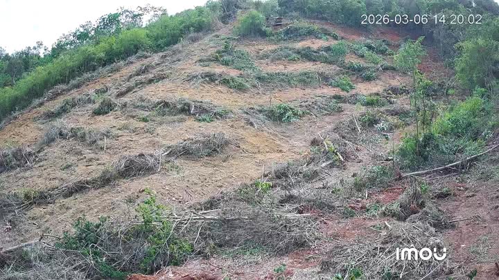 Đất nền Xã Đắk Ha, Đắk Nông 10.000m² - Sổ đỏ chính chủ