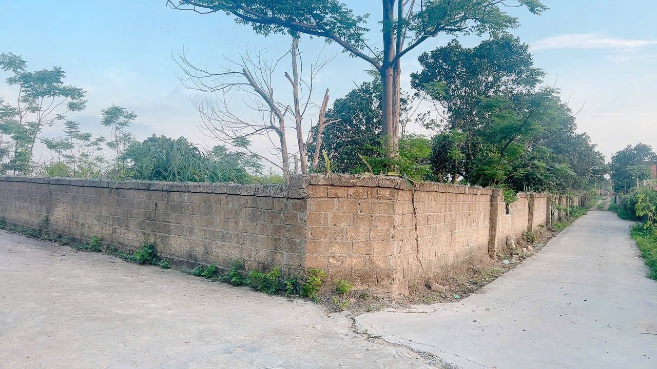 Đất nền Kim Sơn, Đông Triều 3600m² - Đường ô tô vào thoải mái!