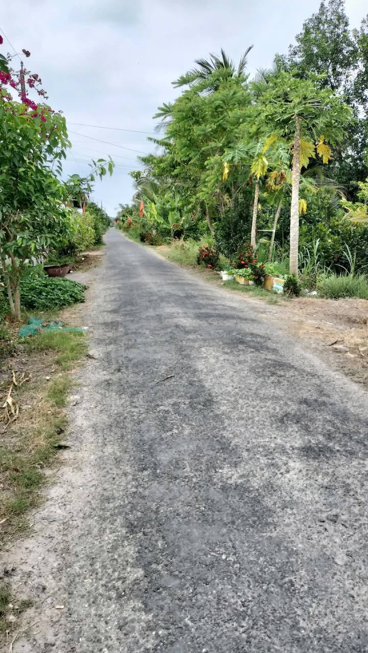 Đất Vườn Xã Trung Hiệp, Vĩnh Long 3000m² - Nghỉ Dưỡng Lý Tưởng!