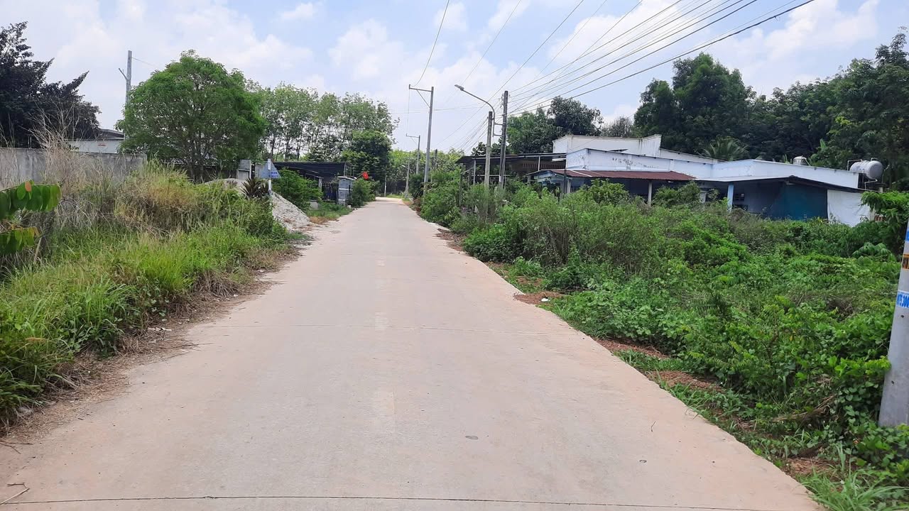 Bán Đất Vàng 12.000m² Lai Uyên, Bàu Bàng - Sổ Hồng Sẵn Sàng