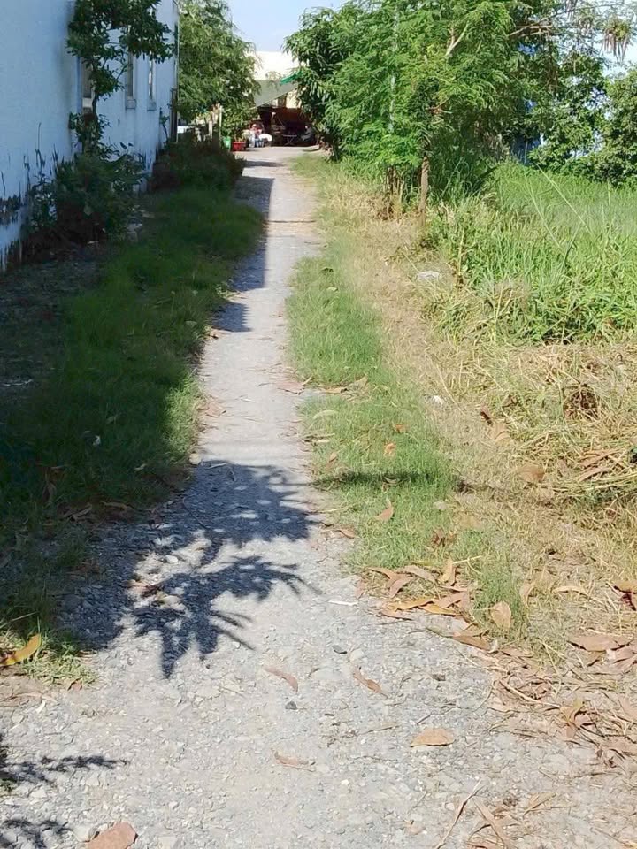 Đất nền Tân Bửu, Long An 191m² giá 2.35 tỷ - Đất thổ cư 100%