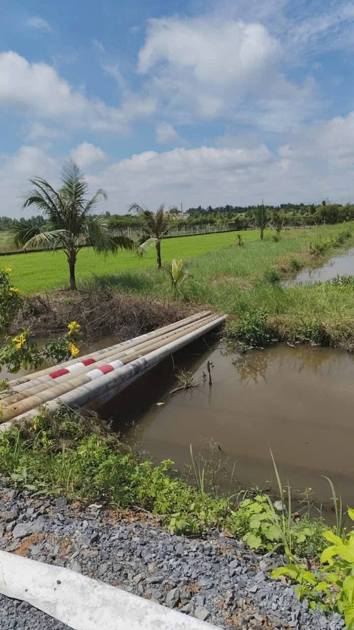 Đất Vườn Bình Chánh 2000m² Sổ Hồng Riêng - Giá Tốt 7.5 Tỷ